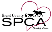 Brant County SPCA
